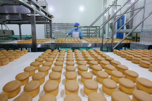 河北定兴全力推动食品产业转型升级