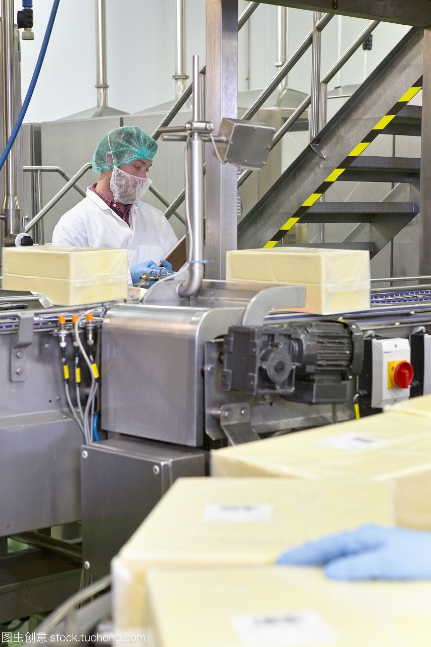 生产线背后的奶酪加工厂 机械化与食品安全的现代融合