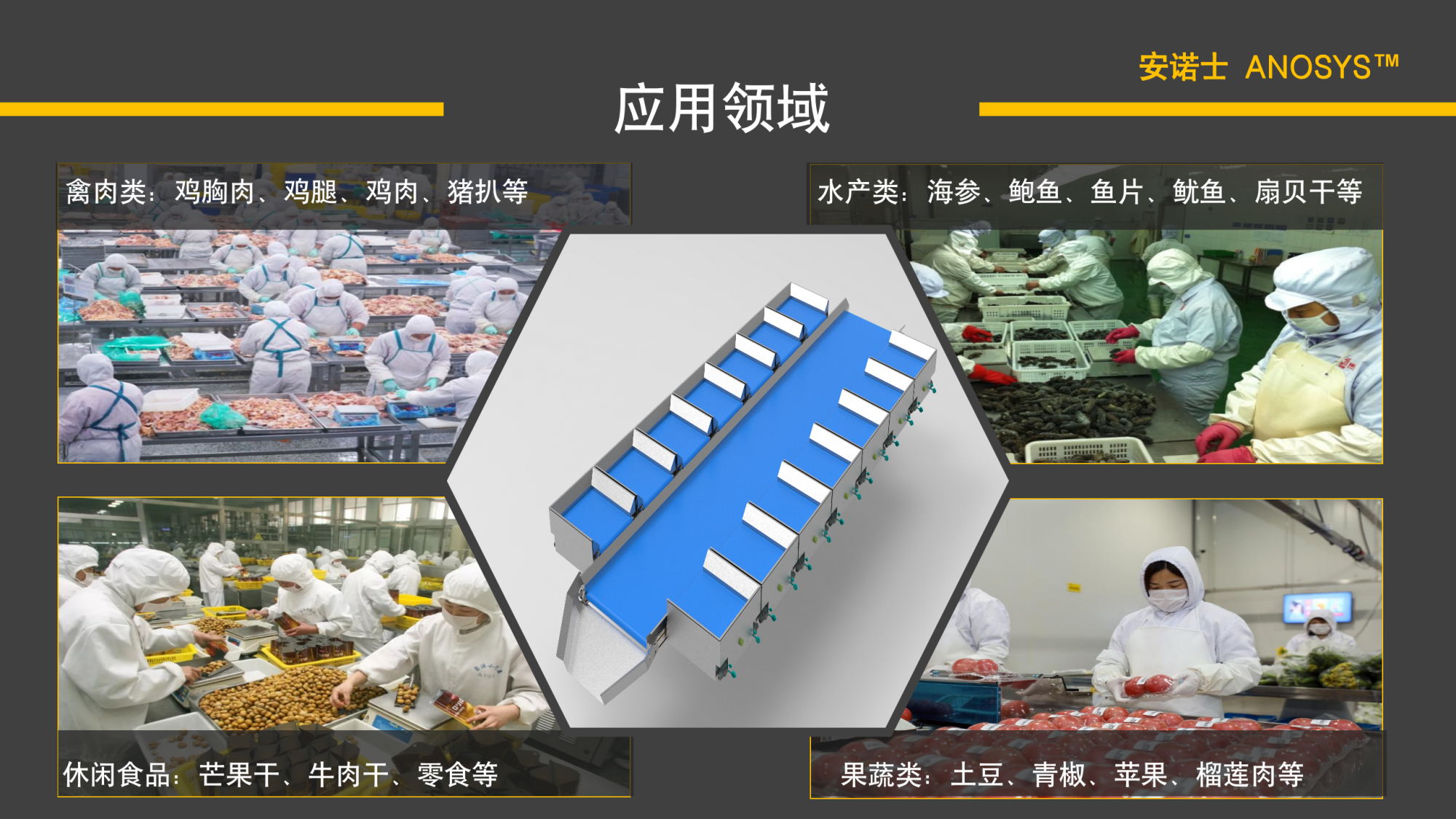 自动目标称重分拣机 突破生鲜配送、食品加工与冻货分拣生产瓶颈