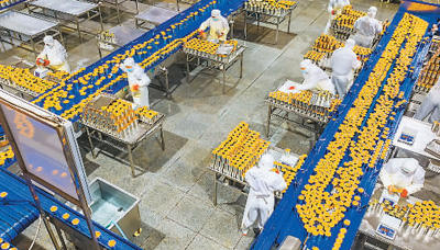 10部门联合出台意见 着力提升加工贸易发展水平 重点布局食品加工