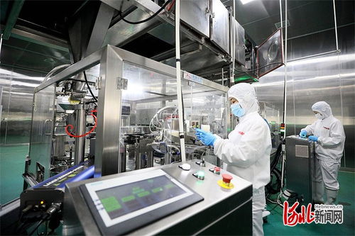 邢台食品加工业 锚定市域主导产业，提速挺进功能性食品新赛道