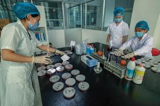 市卫生健康局开展食品安全宣传周实验室开放日活动 聚焦食品加工安全