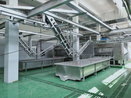 A级畜禽屠宰加工厂即将投产，优质产品辐射全国市场