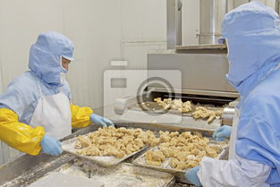 食品加工生产线 现代食品工业的核心